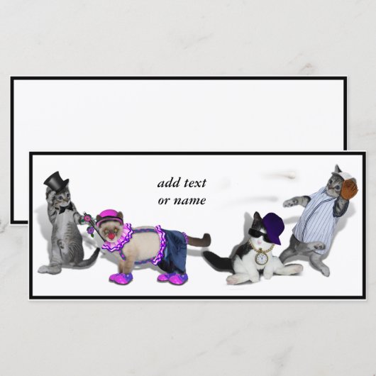 Four Kittens At Play (Front/Back)