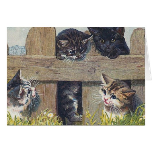 Four Kittens Playing Vintage Illustration (Front Horizontal)