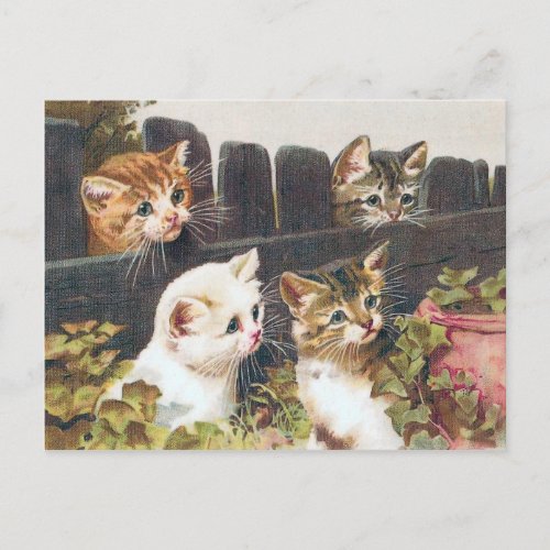 Four Kittens Vintage Postcard