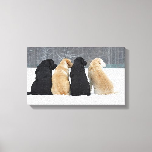 Four Labrador Dogs In Snow Canvas Print