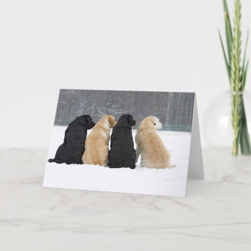 Four Labrador Dogs In Snow Card