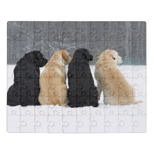 Four Labrador Dogs In Snow Jigsaw Puzzle