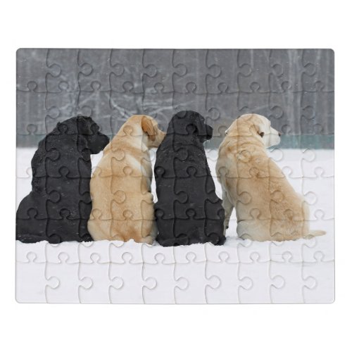 Four Labrador Dogs In Snow Jigsaw Puzzle