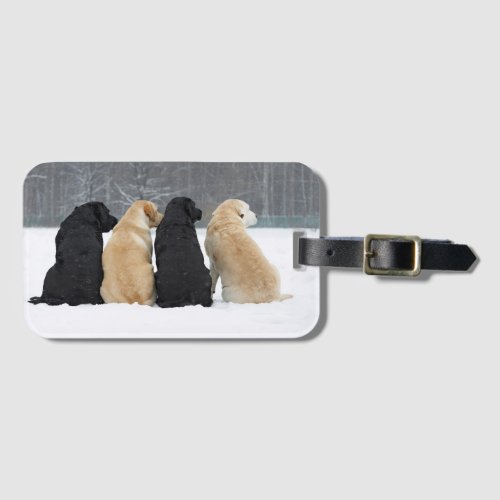Four Labrador Dogs In Snow Luggage Tag