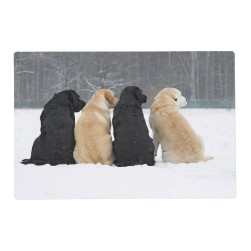 Four Labrador Dogs In Snow Placemat