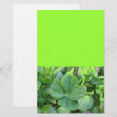 Four Leaf Clover (Front/Back)
