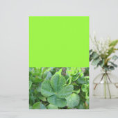 Four Leaf Clover (Standing Front)
