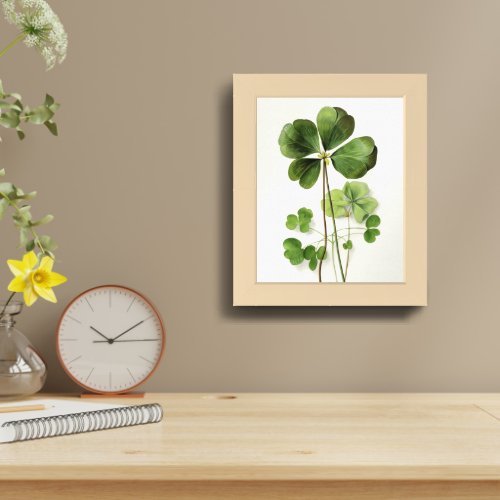 Four_leaf clover Botanical illustration poster