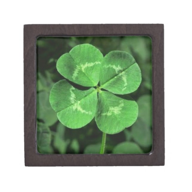 Four Leaf Clover Box, Gift Box or Keepsake Box (Front)