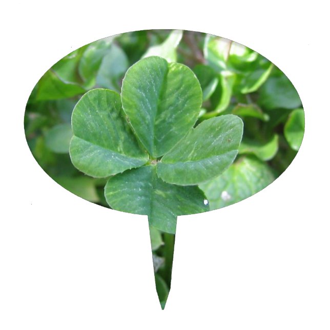 Four Leaf Clover Cake Topper (Front)