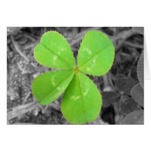 Four Leaf Clover Card - Black, White, and Color (Front Horizontal)