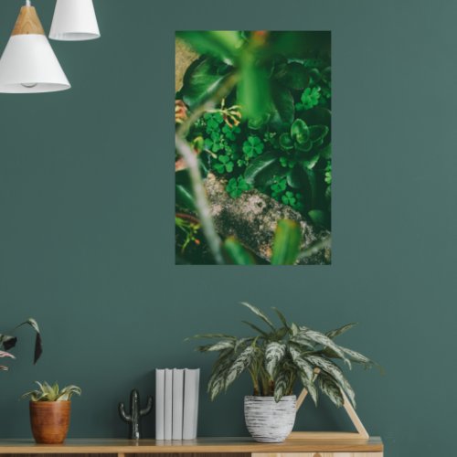 Four Leaf Clover Charm Poster