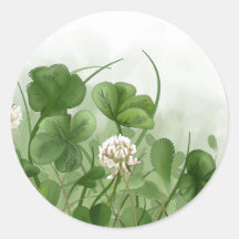 Four Leaf Clover