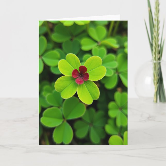Four Leaf Clover Flower Card (Front)