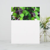 Four Leaf Clover Letterhead Shamrock St. Patrick’s (Standing Front)