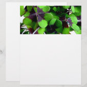 Four Leaf Clover Letterhead Shamrock St. Patrick’s (Front/Back)