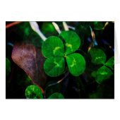 Four Leaf Clover Lucky (Front Horizontal)