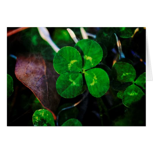 Four Leaf Clover Lucky (Front Horizontal)