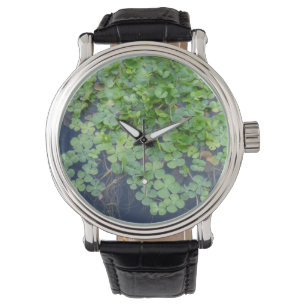Four Leaf Clover Lucky Watch