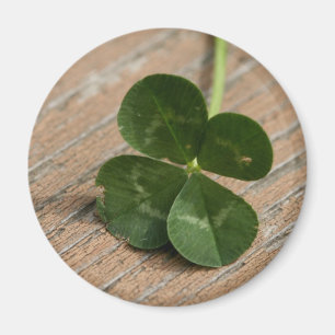 Four Leaf Clover Magnet