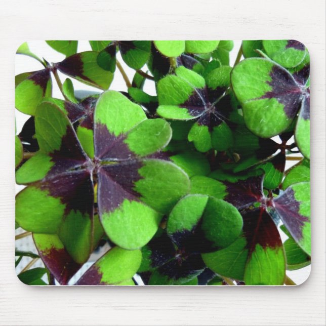 Four Leaf Clover Shamrock St. Patrick’s Lucky Mouse Pad (Front)