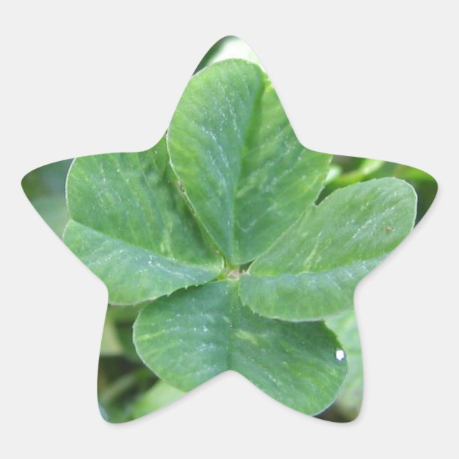 Four Leaf Clover Star Sticker (Front)