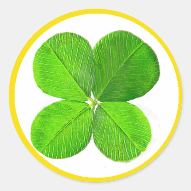 Four Leaf Clover The MUSEUM Zazzle Gifts Classic Round Sticker (Front)