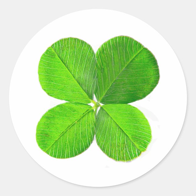 Four Leaf Clover The MUSEUM Zazzle Gifts Classic Round Sticker (Front)