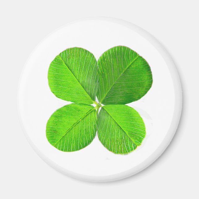Four Leaf Clover The MUSEUM Zazzle Gifts Magnet (Front)