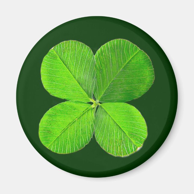 Four Leaf Clover The MUSEUM Zazzle Gifts Magnet (Front)