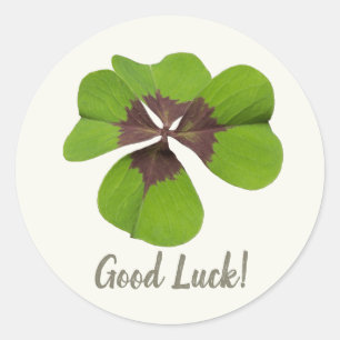 Four Leaf Lucky Clover St Patricks Day Good Luck Classic Round Sticker