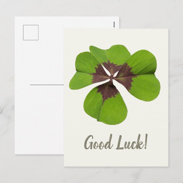Four Leaf Lucky Clover St Patricks Day Good Luck Holiday Postcard (Front/Back)