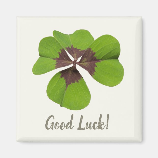 Four Leaf Lucky Clover St Patricks Day Good Luck Magnet (Front)
