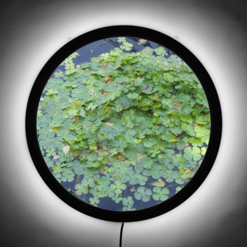 Four Leaf Water Clover Pond Plants LED Sign