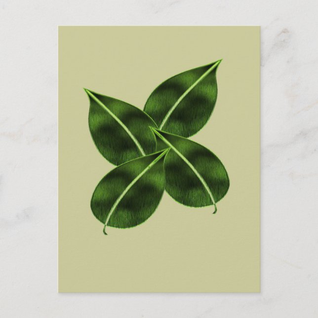 Four Leaves Posctcard Postcard (Front)
