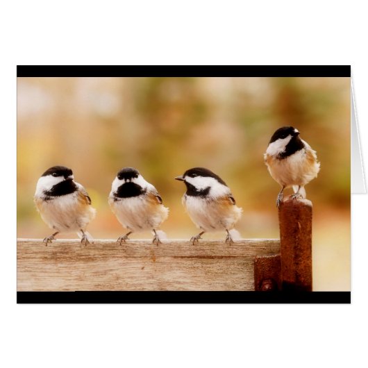 Four little chickadees cards (Front Horizontal)