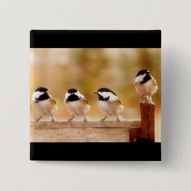 Four little chickadees pinback button (Front)