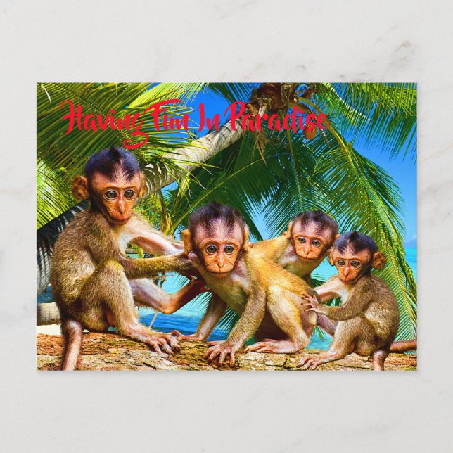 Four Little Monkeys Postcard (Front)
