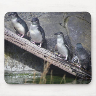 Four Little Penguins Mouse Pad