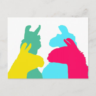 Four Llamas in Four Llama Colors - A Bold Graphic Postcard