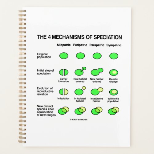 Four Mechanisms Of Speciation Evolution Planner