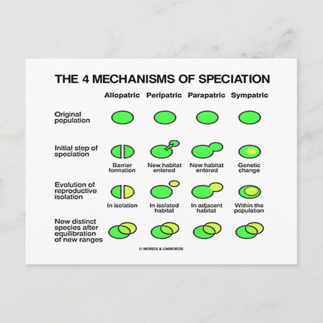 Four Mechanisms Of Speciation (Evolution) Postcard (Front)