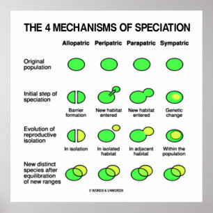 Four Mechanisms Of Speciation Evolution Poster