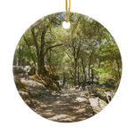 Four Mile Trail Ceramic Ornament