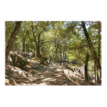 Four Mile Trail Poster