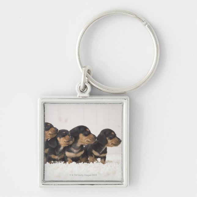 Four Mini Dachshund Keychain (Front)