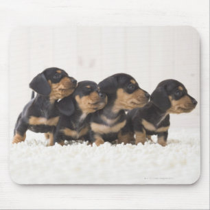 Four Mini Dachshund Mouse Pad