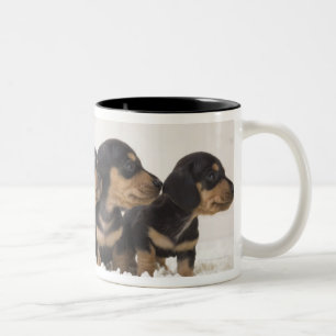 Four Mini Dachshund Two-Tone Coffee Mug