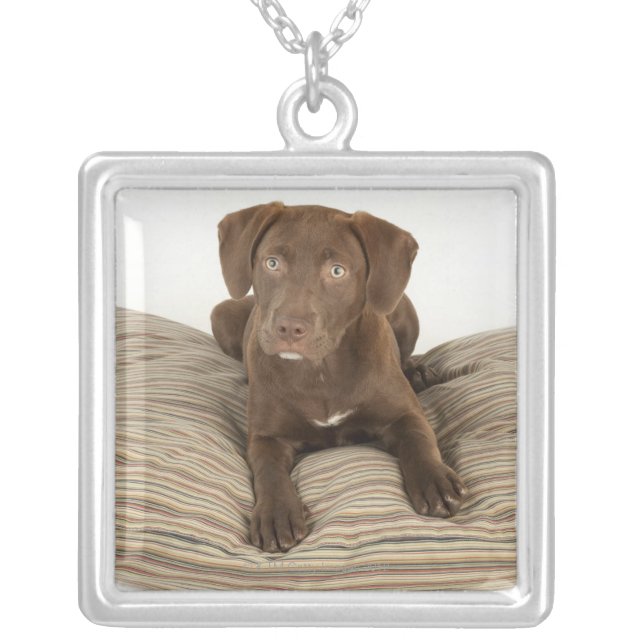 Four-Month-Old Chocolate Lab Puppy on Pillow Silver Plated Necklace (Front)