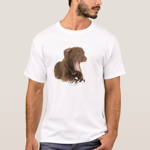 Four_Month_Old Chocolate Lab Puppy Yawning T_Shirt